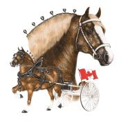 CBHA Logo
