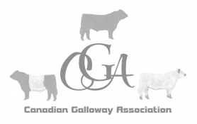Canadian Galloway Association