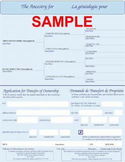 Sample Certificate - Equine - Page 2